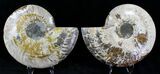 Split Agatized Ammonite - Crystal Pockets #21209-3